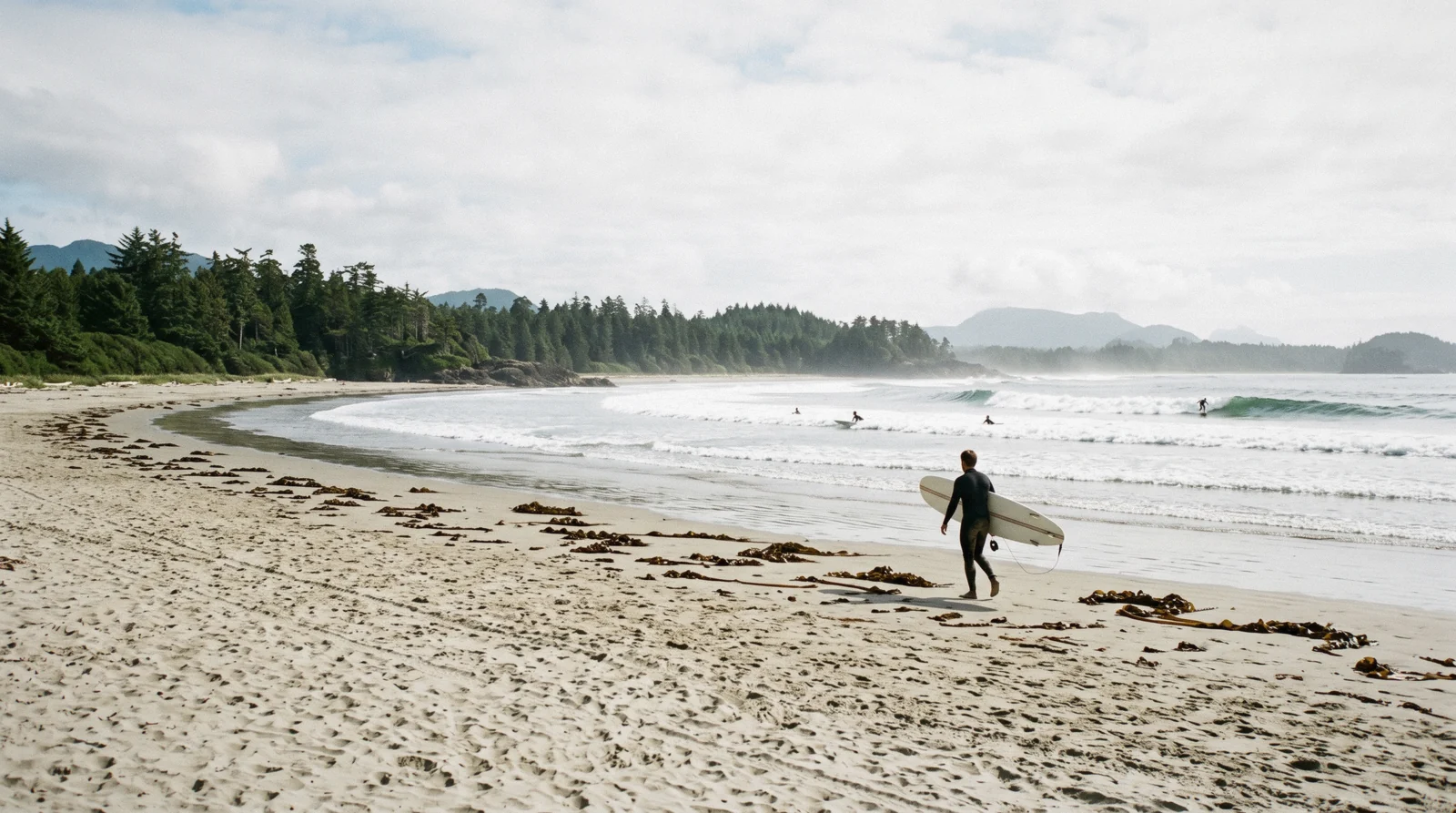 A wide stretch of sand and breaking surf at one of the Tofino beaches on the Esowista Peninsula