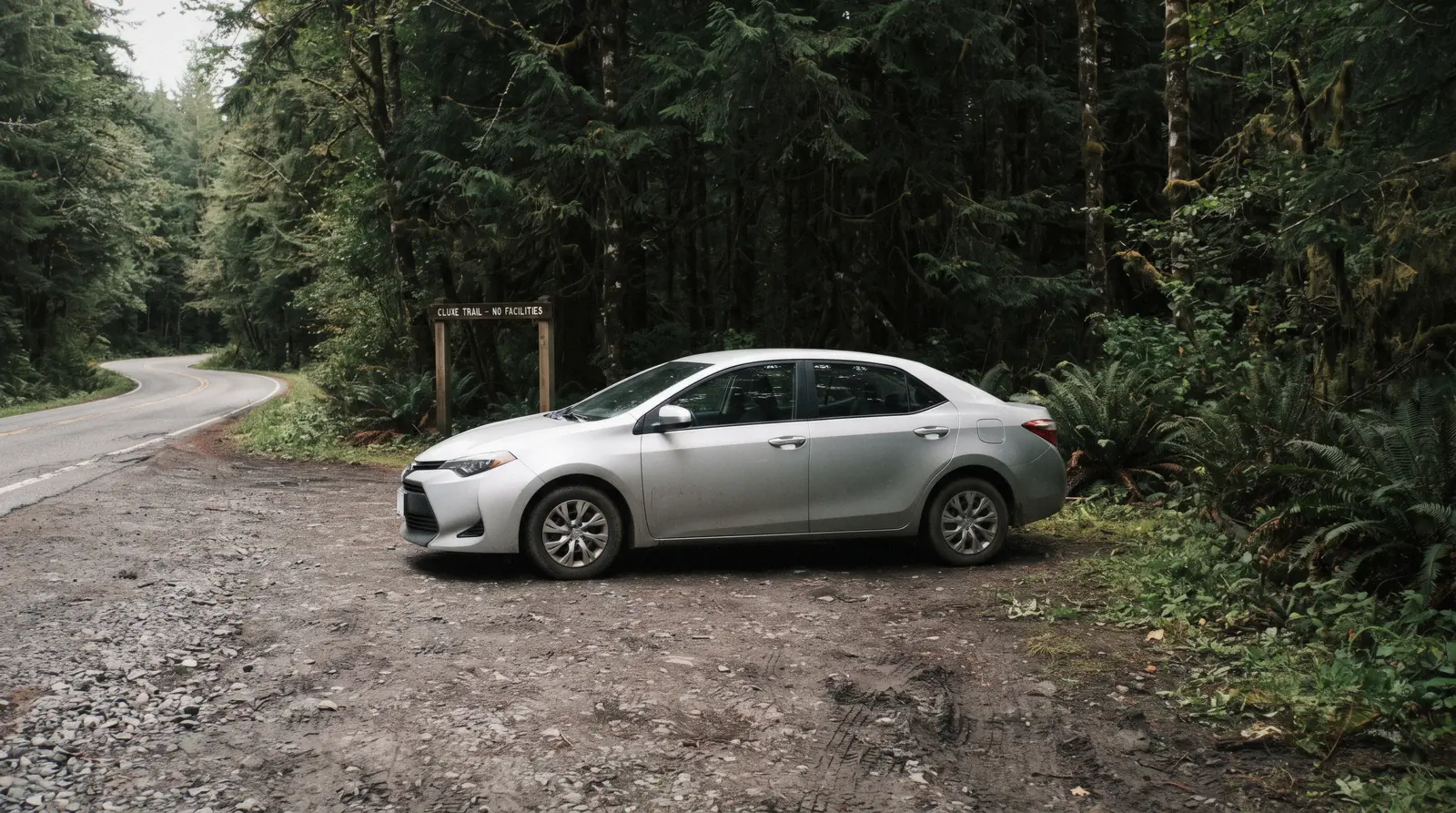 A car parked at a trailhead pullout on the Pacific Rim Highway near a tofino car rental route