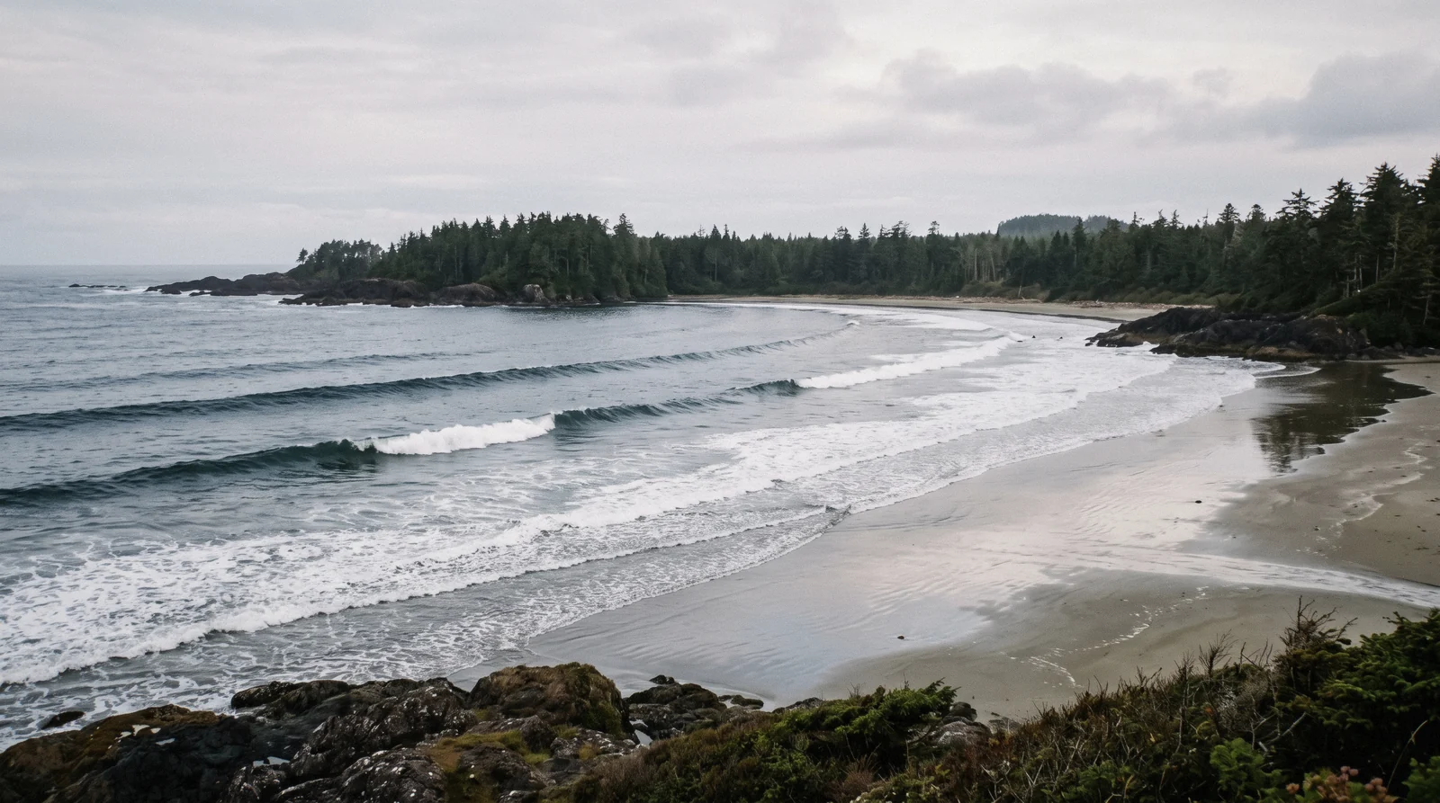 Surfers checking the waves at Cox Bay near Tofino, British Columbia