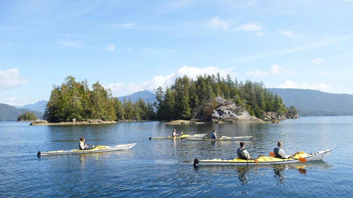Guided kayaks paddling sheltered waters on a Tofino Clayoquot Sound kayak tour