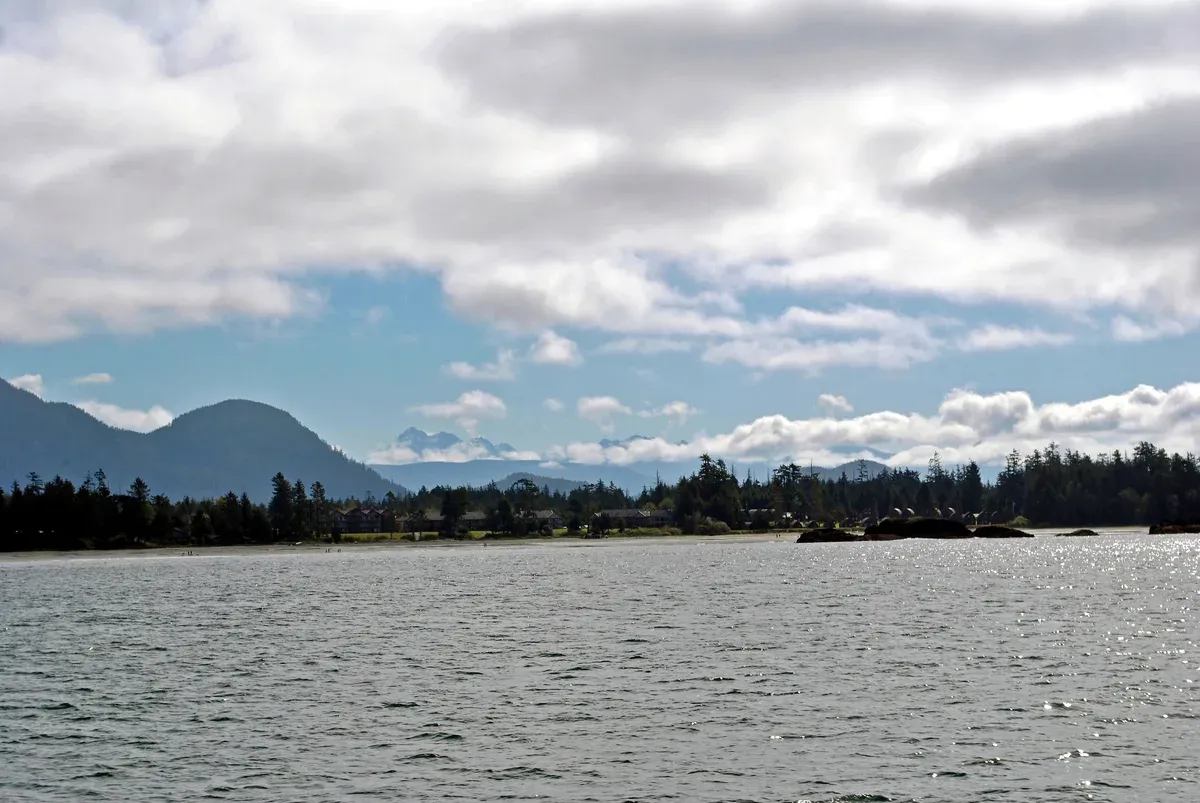 The sheltered shoreline of tinwis, formerly Mackenzie Beach, seen across the calm water near Tofino, British Columbia
