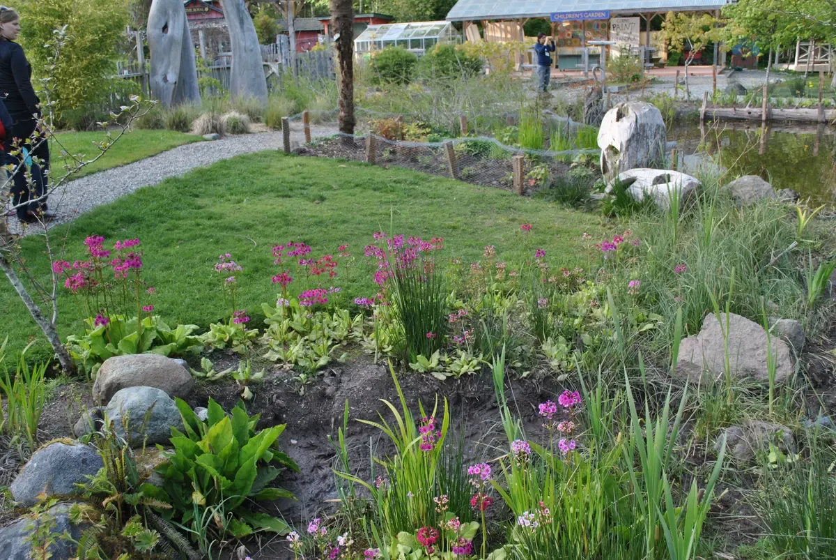 Garden beds and a sculpture at the former Tofino Botanical Gardens, now the Naa'Waya'Sum Coastal Indigenous Gardens, in Tofino, British Columbia